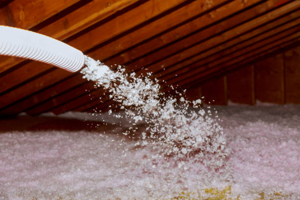 Best Insulation for Specific Applications in Carrollton, AL