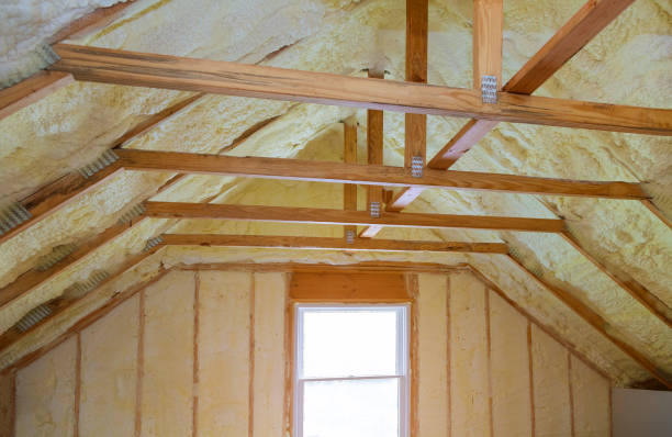 Best Insulation Maintenance and Repair in Carrollton, AL