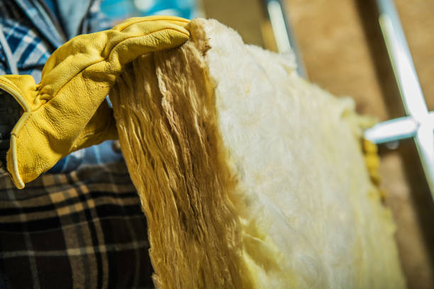 Best Specialty Insulation in Carrollton, AL