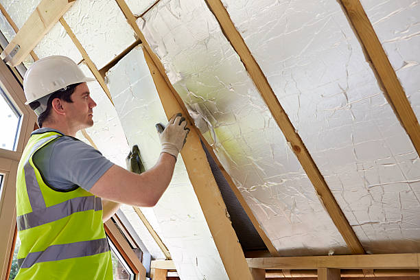Best Insulation for Specific Applications in Carrollton, AL