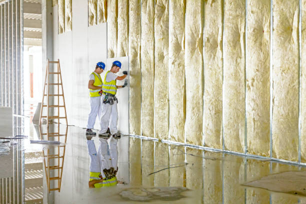 Best Residential Insulation in Carrollton, AL